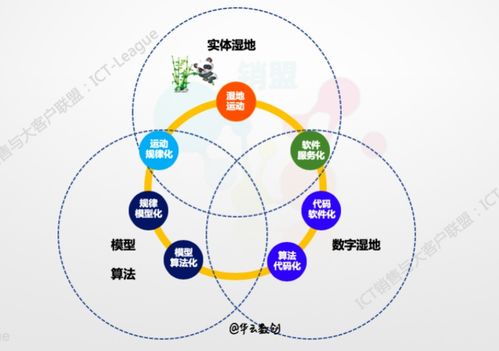 企業的數字化轉型 數據、算法、互聯網服務與工業互聯網數據服務的核心探討