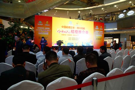 成都品牌營銷推廣大全 整合資源，引爆市場